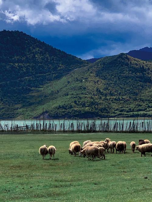 香格里拉旅游景点图-香格里拉旅游景点图片