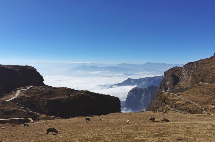 昭通大山包景区门票_昭通大山包景区门票多少钱