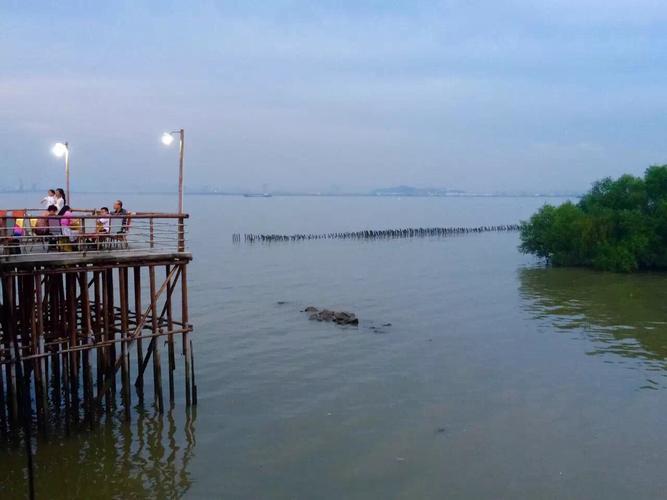 番禺海鸥岛自驾游攻略_番禺海鸥岛有什么好玩的?番禺海鸥岛自助游攻略