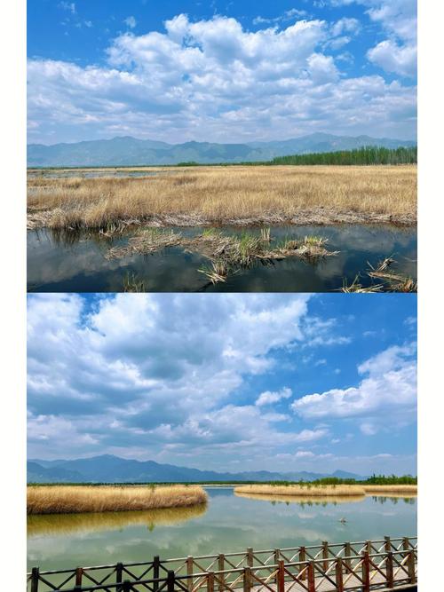 延庆野鸭湖_延庆野鸭湖简介