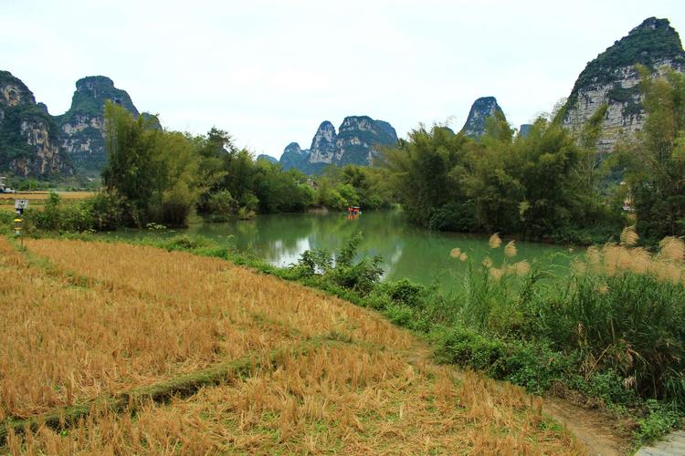 崇左市必去的五个景点-崇左市必去的五个景点明仕稻田