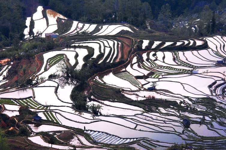 红河梯田与元阳梯田_云南旅游红河梯田